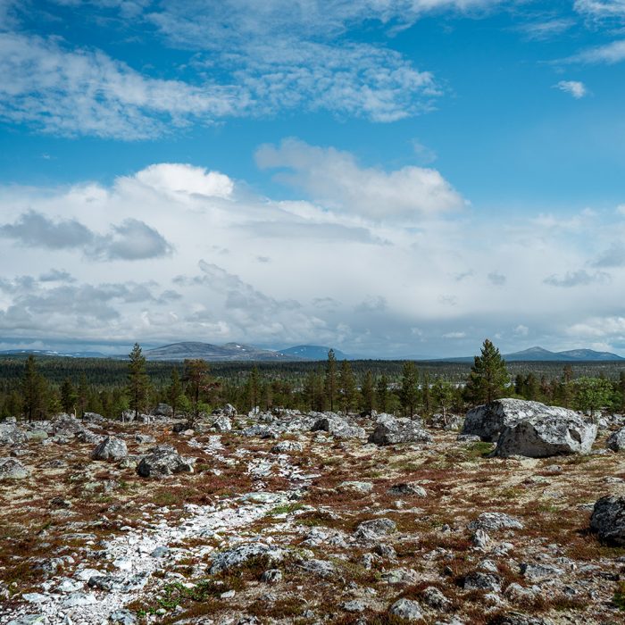 TrekkingTour durch den Femundsmarka Nationalpark.